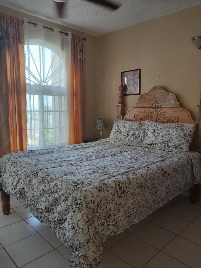 Elegant Condo Awesome View Ocho Rios Exteriér fotografie